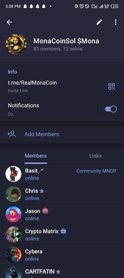 Built the Mona Coin community(Community Manager)